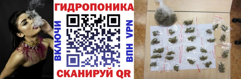 mega сайт  Мышкин  Шишки марихуана THC 21% 